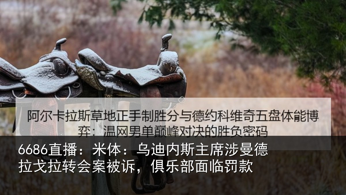 6686直播：米体：乌迪内斯主席涉曼德拉戈拉转会案被诉，俱乐部面临罚款
