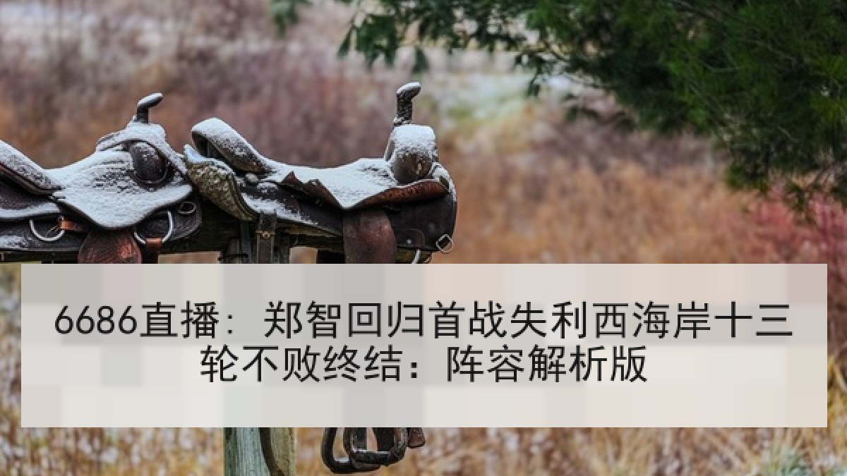 6686直播: 郑智回归首战失利西海岸十三轮不败终结:阵容解析版