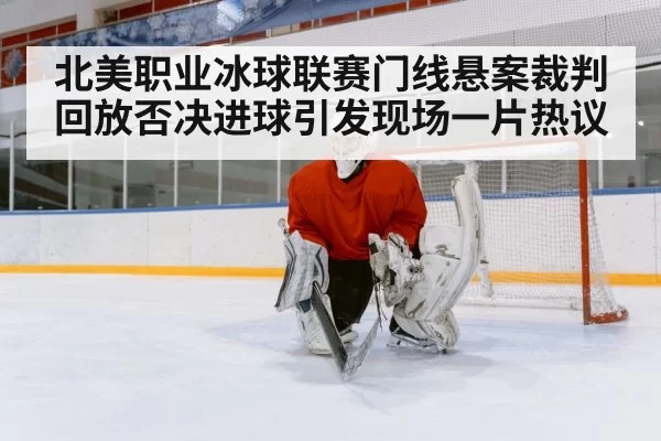 北美职业冰球联赛门线悬案裁判回放否决进球引发现场一片热议